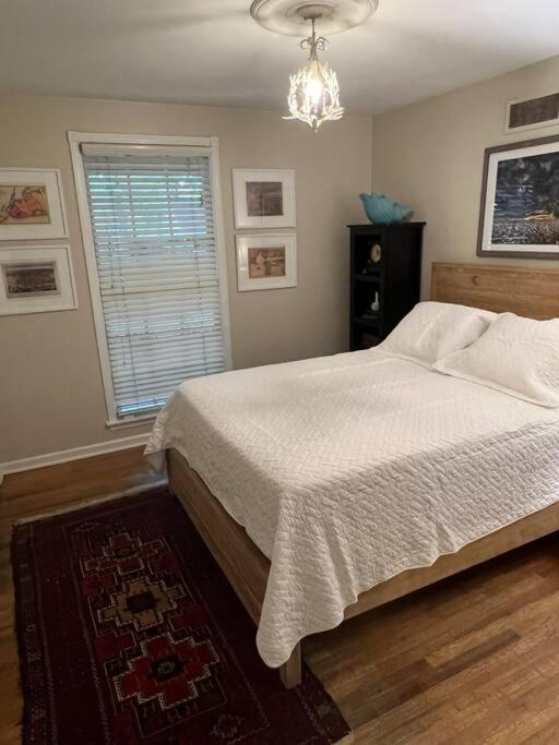 Elegant 6 Bedroom Home In Heart Of MemphisMemphis  Kültér fotó